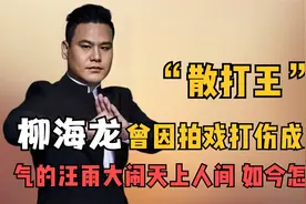 柳海龙：给拳王泰森当保镖，替师妹出头，却意外得罪江湖大佬视频封面