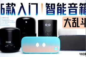「小白」 6款主流智能音箱大乱斗：小米苹果小度…谁是真智能视频封面