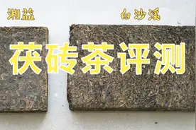 茯砖茶评测：最受欢迎两大黑茶品牌——湘益VS白沙溪，哪个更好？视频封面