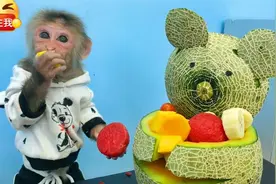 萌宠小动物：勤劳的小猴子来果园劳动，收获水果，回家做水果拼盘视频封面
