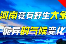 河南竟有野生大象？中华5000年，气候如何变化？视频封面