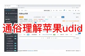 通俗理解苹果UDID的含义及作用视频封面