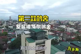鸽舍建造：3种豪华鸽舍，造价过万，总有一款是你满意的视频封面