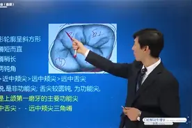 口解：上颌第一磨牙—七颗牙学堂口腔执业考点精讲视频封面