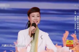 农民夫妻舞台献舞，没想到伴舞的居然是原唱，全场热舞视频封面