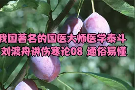 我国著名的国医大师医学泰斗 刘渡舟讲伤寒论08 通俗易懂视频封面