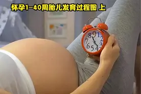 怀孕1-40周完整详细的胎儿发育过程图视频封面