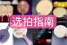 【闭眼购买的10个球拍】只买对的不买贵的，入门超高性价比的底板视频封面
