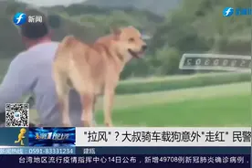 大叔骑摩托车载狗，意外在网络上“走红”，民警刷到视频后找上门视频封面