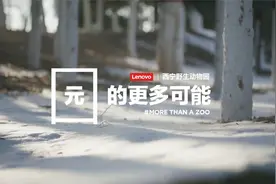 西宁野生动物园萌主的超可爱瞬间！可能和你想象的不一样视频封面