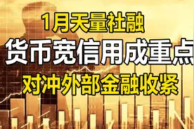 1月天量社融，货币宽信用成重点，如何对冲外部金融收紧很关键视频封面