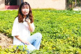 为啥花生空壳特别多？只因农户做错了一件事，以后要注意