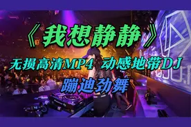 火爆的士高DJ《我想静静》烦恼没有什么大不了，一起来摇DJ视频封面