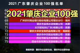 2021肇庆企业100强分布：高新区29家，端州区21家，四会市20家视频封面