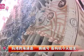向海底掘进！深圳妈湾跨海通道来了，2023年12月底建成通车视频封面
