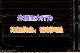 学会轻松看盘：分时图看洗盘量和出货量！截断亏损，把握利润！
