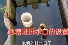 小细节决定大成败，你知道池塘进排水管道怎样安装不容易堵塞吗？