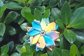 「彩带编织」漂亮的彩虹花！视频封面