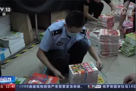 漏洞百出 孩子最爱 卖到脱销？波及多省市 一套童书 上亿盗版大案视频封面