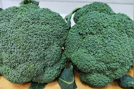 凉拌西兰花，直接焯水就错了，教你正确做法，脆嫩入味营养不流失视频封面