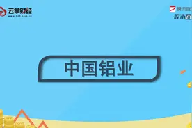 中国铝业[601600]视频封面