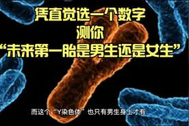 凭直觉选一个数字，测你“未来第一胎是男生还是女生”视频封面