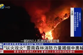 云南森林消防队讲灭重庆山火方法，释滇渝“折耳根辣椒”双向奔赴视频封面