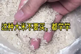 买大米时，不是越贵越好，米商贩教我妙招，选到的大米又香又好吃