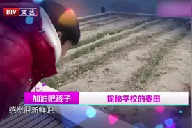 如何培养孩子们责任感，老师讲述教学妙招，还能增强动手能力视频封面