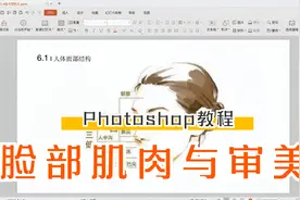 ps人像修图原理知识：脸部骨骼肌肉结构与面部审美视频封面