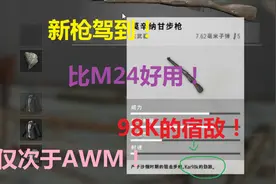 98K一生的宿敌！莫辛纳甘步枪！他跟98K到底谁才是新的狙击之王？视频封面
