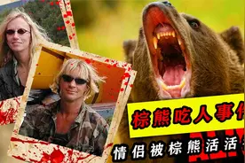 棕熊吃人的真实案件：男子想与熊交朋友，却连累女友一起被熊吞食视频封面