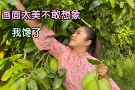 采摘的‘青芒果搭配鸡爪’这样做。网友评论；馋哭了视频封面