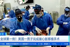 全球第一例！美国一男子完成猪心脏移植手术视频封面
