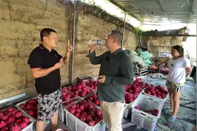 伍哥早年也是千万级大佬，短短几年如今种水果为生，他经历了什么视频封面