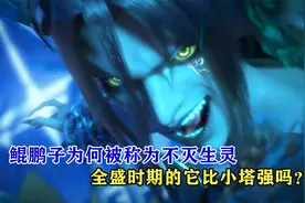 完美世界：鲲鹏子为何被称为不灭生灵，全盛时期的它比小塔强吗？