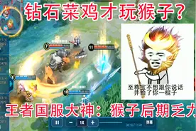 打野怎么看段位？钻石玩家选猴子，星耀阿珂，选这只的都是王者视频封面