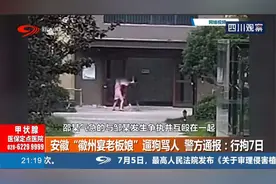 “徽州宴老板娘”遛狗骂人，警方通报：刑拘7日！老公出来道歉视频封面