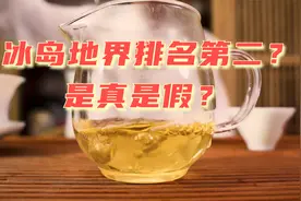 冰岛地界古树茶，冰岛五寨排名第二，是实至名归还是名不副实？视频封面