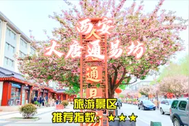 西安大唐通易坊，街道两边全是粉红色的樱花树，美得简直无法形容视频封面