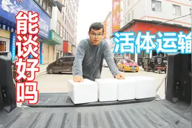 励志赚50万！小伙连日来同顺丰的谈判终于有结果了，活物能发吗视频封面