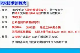 高中生物选修三～PCR技术的概念视频封面