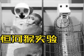 一个实验告诉你孩子哭了到底要不要马上抱起来｜尼古拉秋视频封面