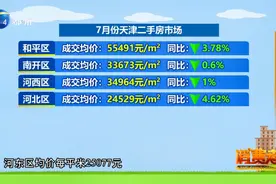 天津二手房价格同比下降，环城四区跌幅最为明显视频封面