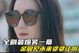 炽道：全剧最爆笑一幕，金晨见未来婆婆让叫姐姐，王安宇：想得美视频封面