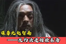 逞阴谋毒死赵智庵　改约法进相徐东海视频封面