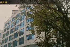 女儿们睡懒觉我一人去乐群买菜，开启美好的一天，给她们改善生活视频封面