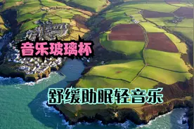 只得到了一个明白的人，那就够了 《轻音乐》视频封面