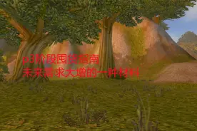 魔兽世界怀旧服：p3阶段囤货指南，未来需求大增的一种材料视频封面
