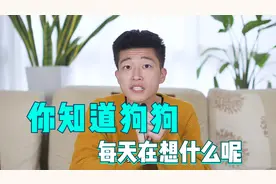 你知道狗狗每天都在想什么吗视频封面
